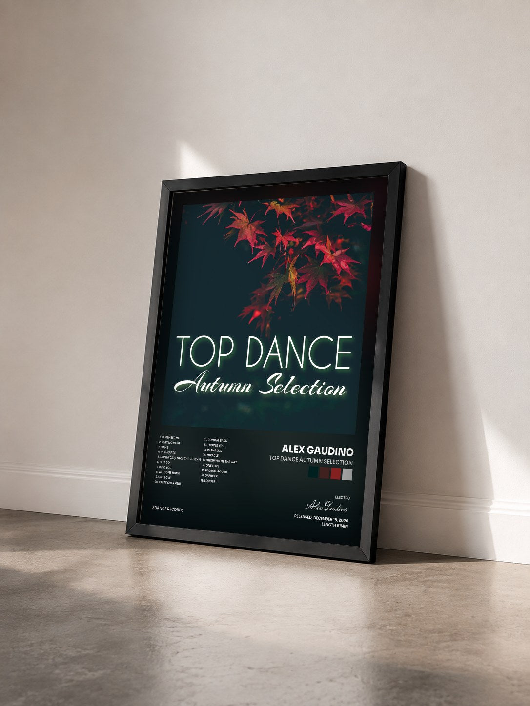 #noir Tableau de l'album Top Dance Autumn Selection de Alex Gaudino vu de trois quarts, cadre noir