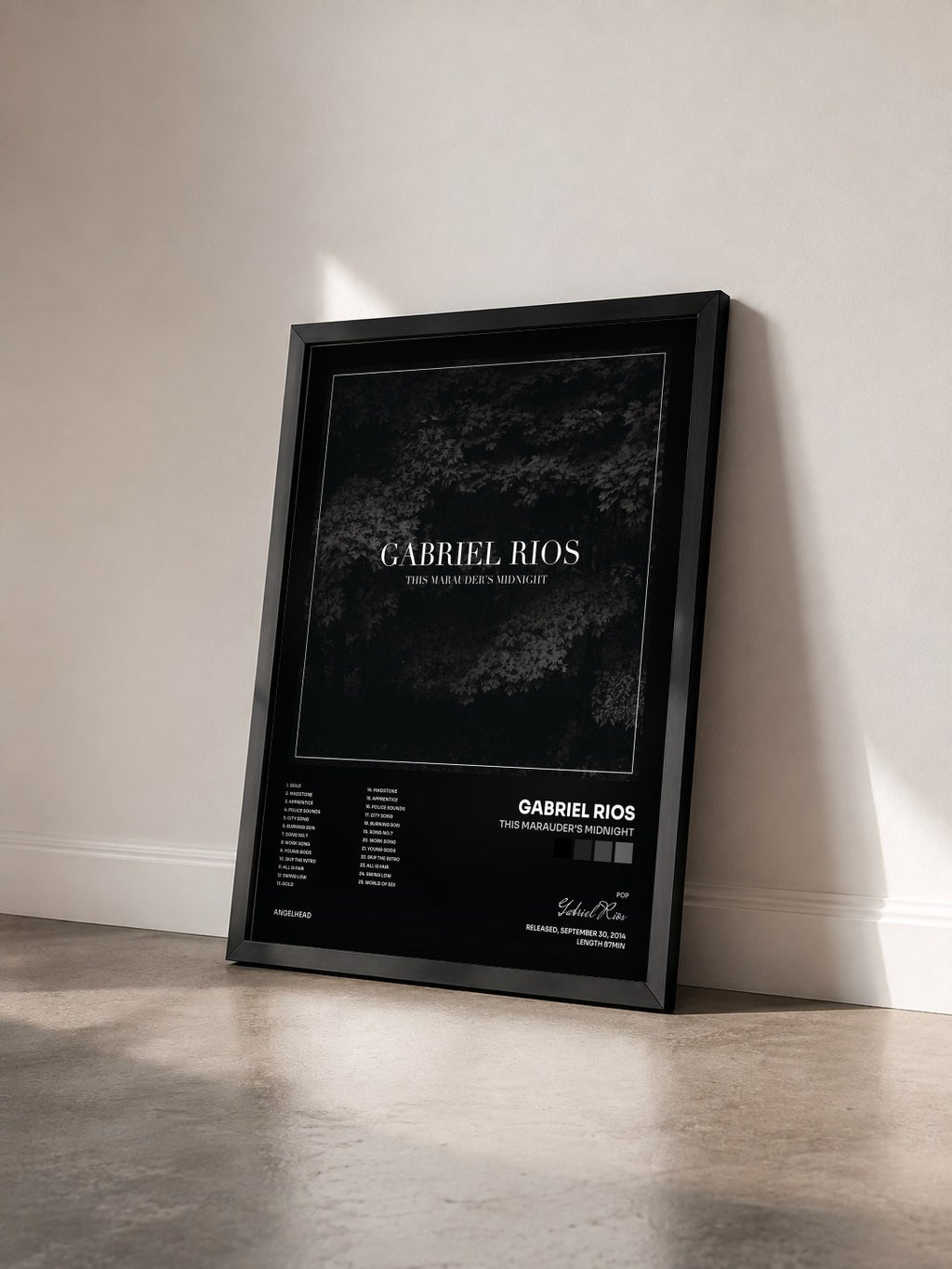 #noir Tableau de l'album This Marauder's Midnight de Gabriel Rios vu de trois quarts, cadre noir