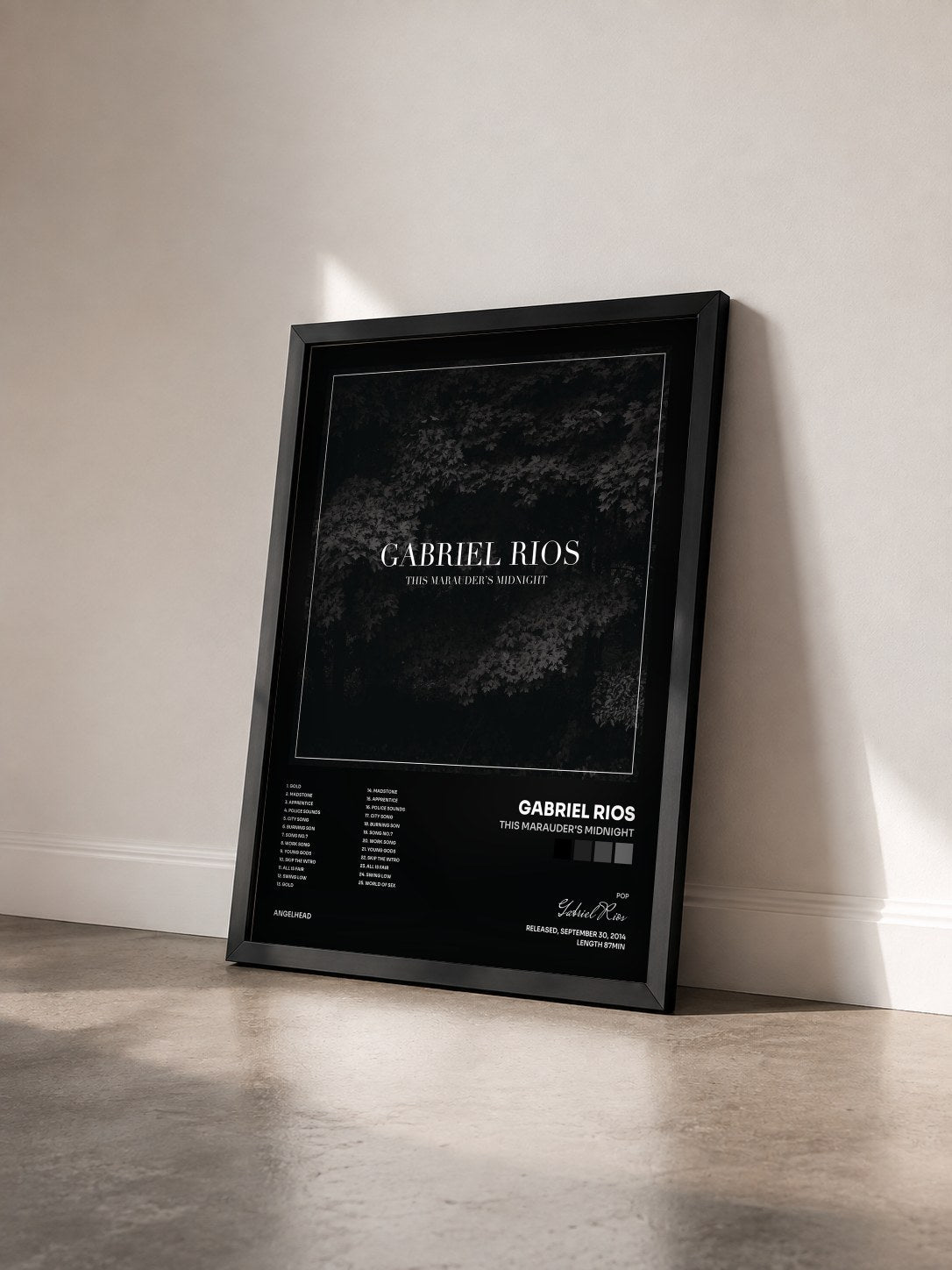 #noir Tableau de l'album This Marauder's Midnight de Gabriel Rios vu de trois quarts, cadre noir
