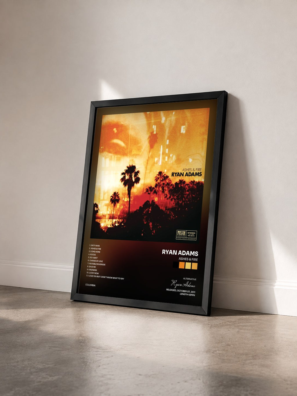 #noir Tableau de l'album Ashes & Fire de Ryan Adams vu de trois quarts, cadre noir