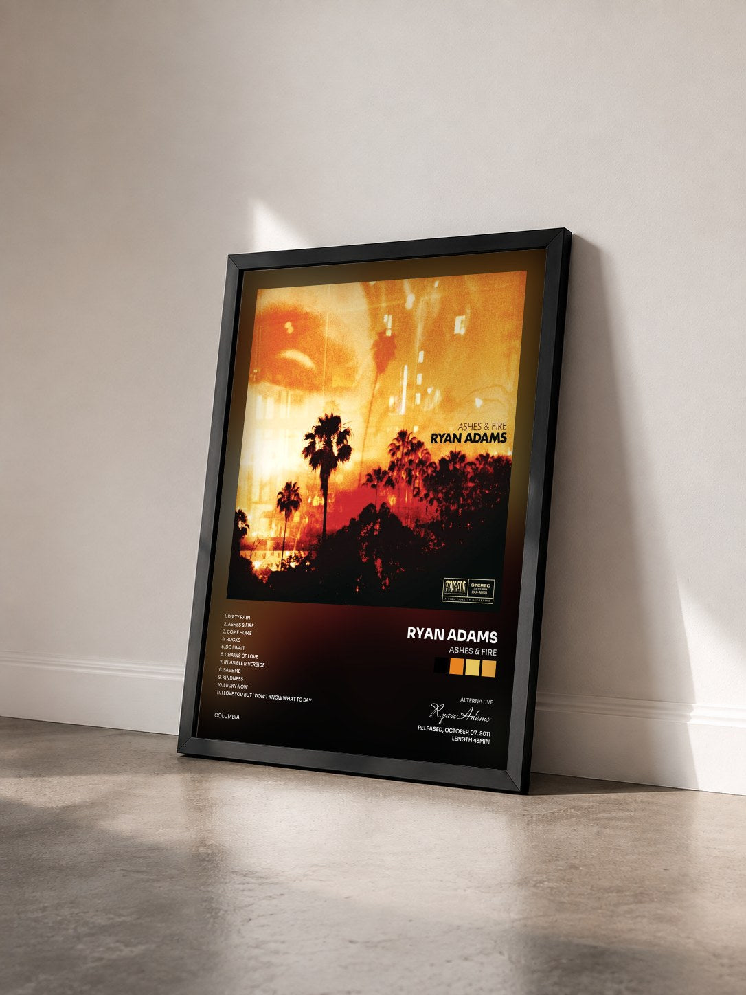 #noir Tableau de l'album Ashes & Fire de Ryan Adams vu de trois quarts, cadre noir