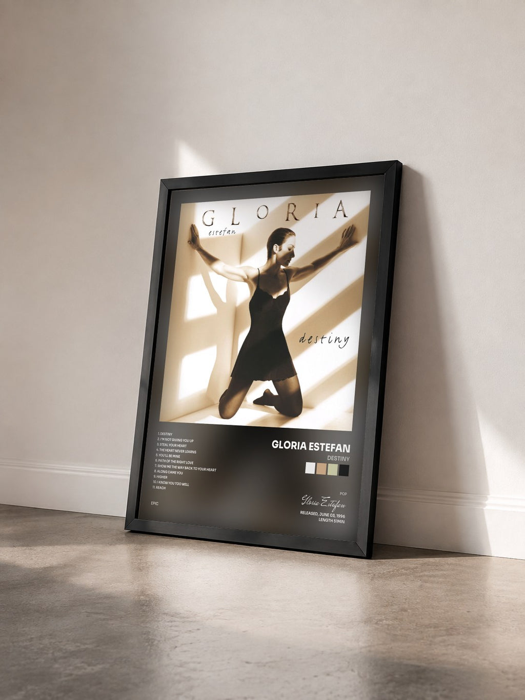 #noir Tableau de l'album DESTINY de Gloria Estefan vu de trois quarts, cadre noir