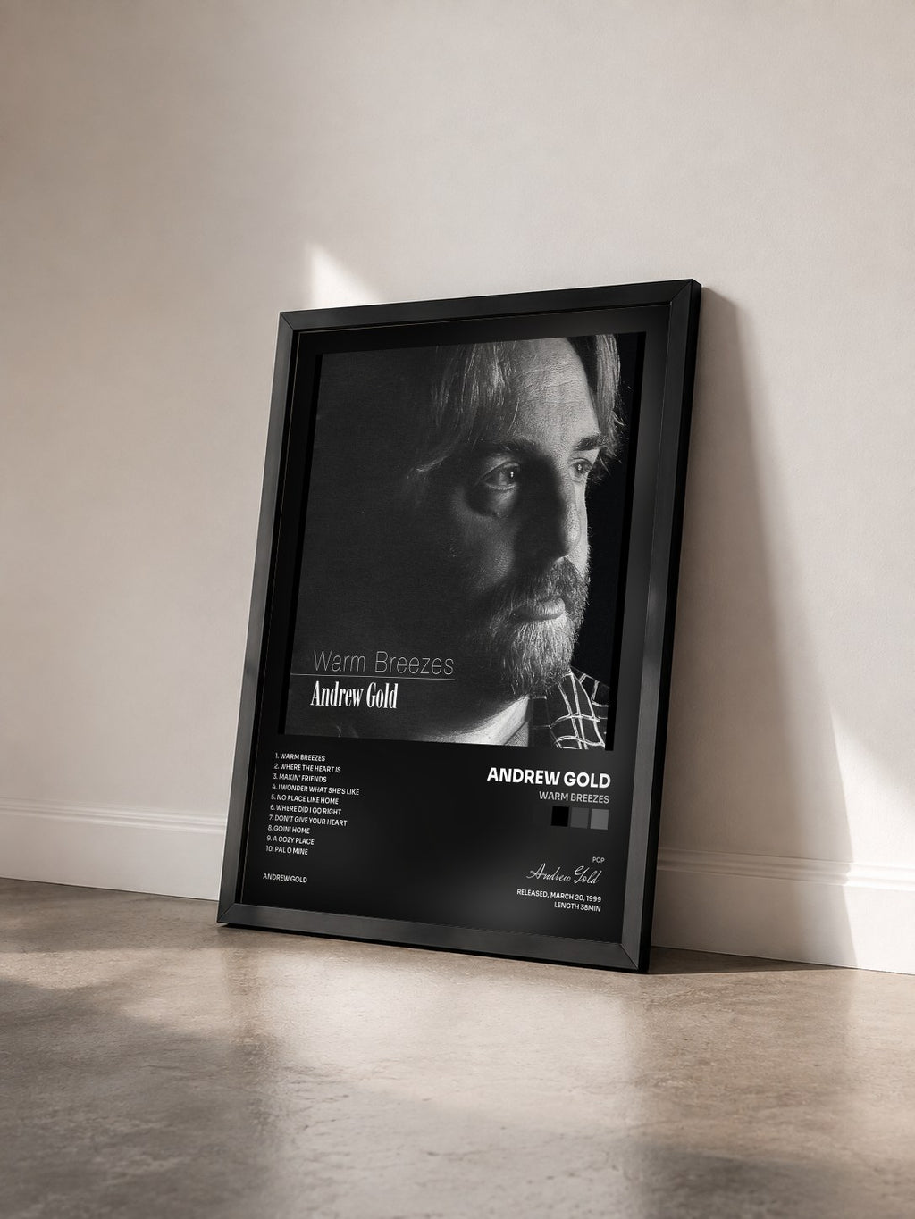 #noir Tableau de l'album Warm Breezes de Andrew Gold vu de trois quarts, cadre noir