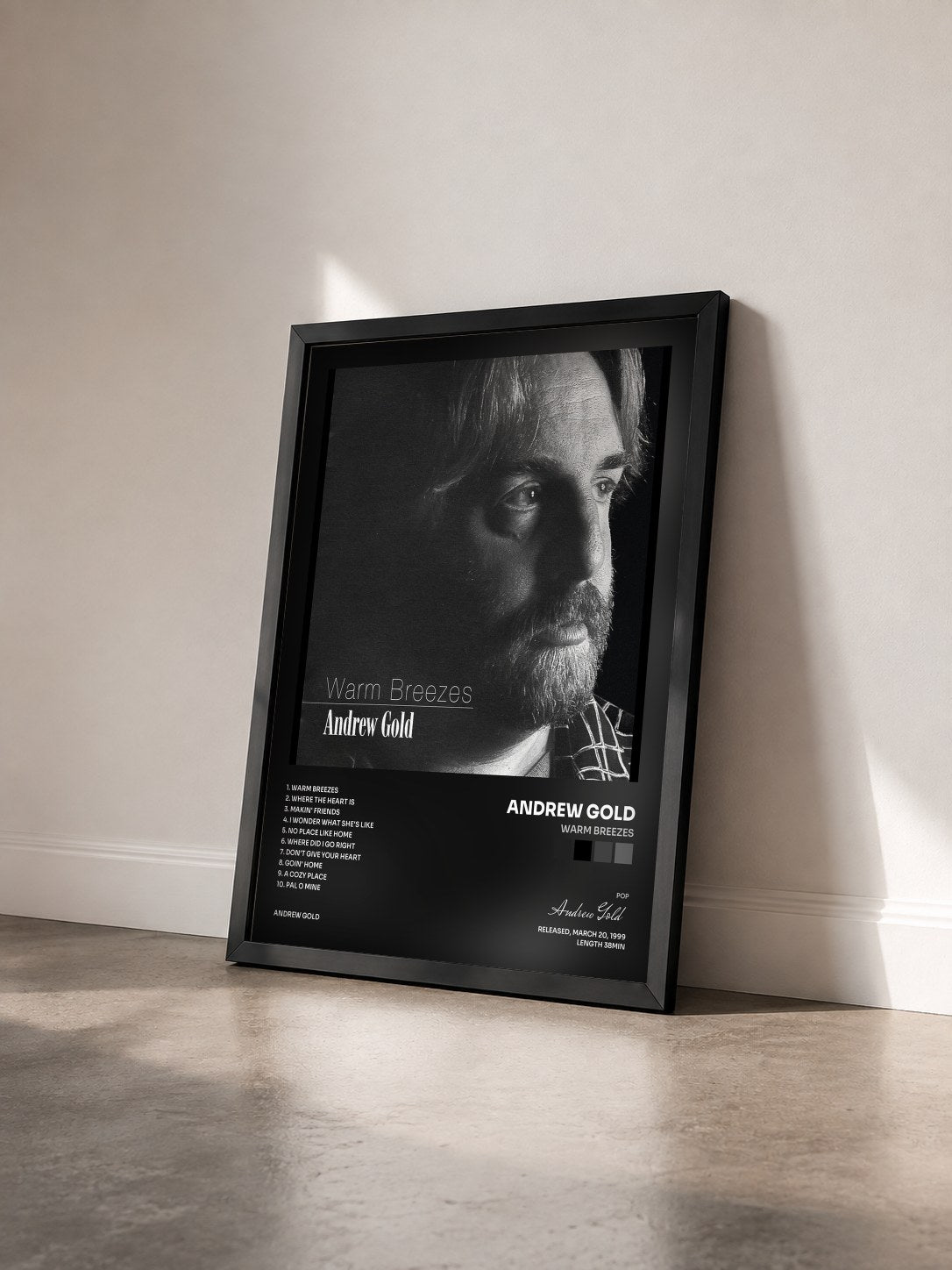 #noir Tableau de l'album Warm Breezes de Andrew Gold vu de trois quarts, cadre noir
