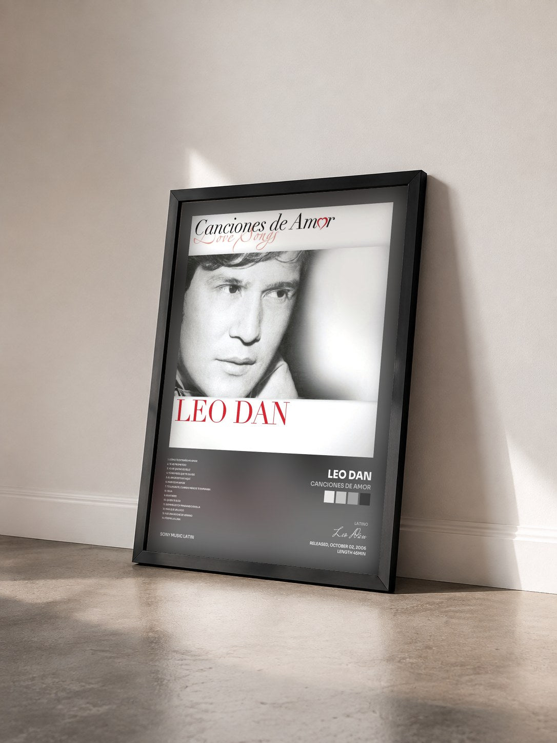 #noir Tableau de l'album Canciones De Amor de Leo Dan vu de trois quarts, cadre noir
