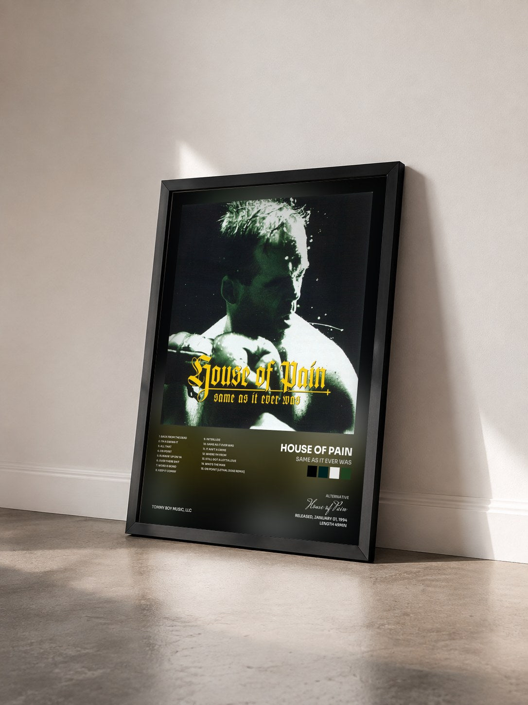 #noir Tableau de l'album Same As It Ever Was de House of Pain vu de trois quarts, cadre noir