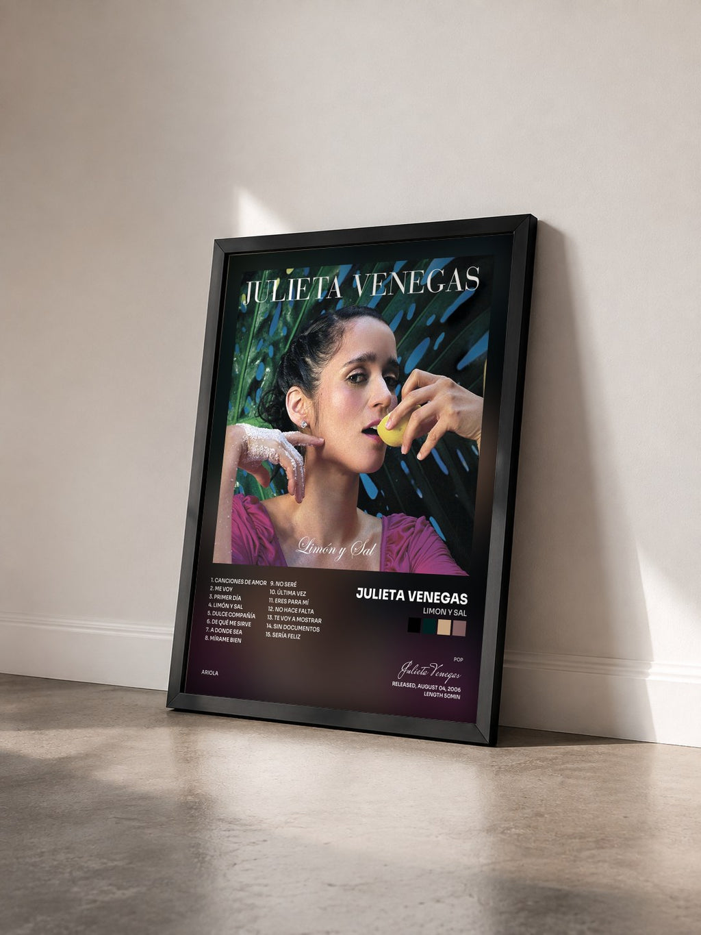 #noir Tableau de l'album Limon Y Sal de Julieta Venegas vu de trois quarts, cadre noir