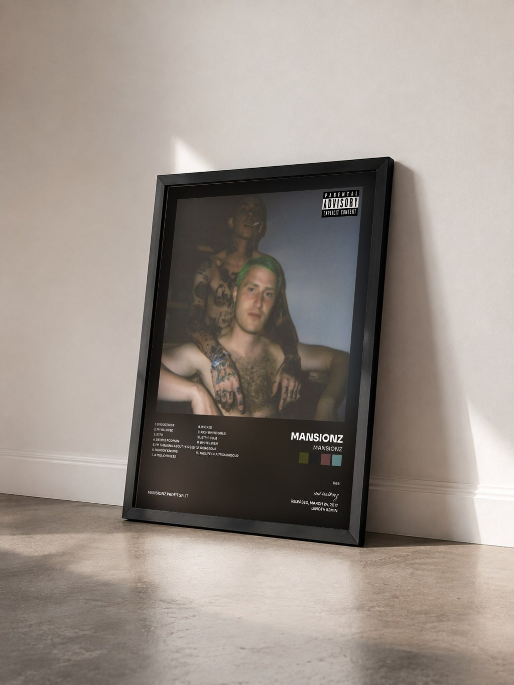 #noir Tableau de l'album Mansionz de mansionz vu de trois quarts, cadre noir