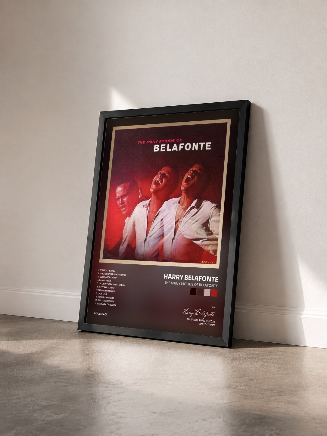 #noir Tableau de l'album The Many Moods Of Belafonte de Harry Belafonte vu de trois quarts, cadre noir