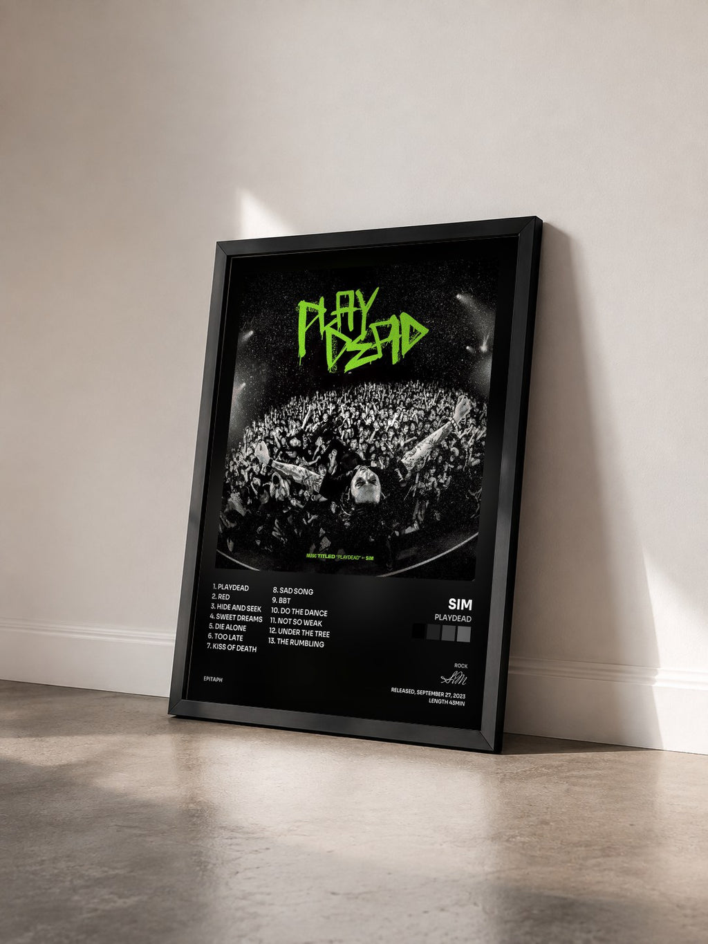 #noir Tableau de l'album PLAYDEAD de SiM vu de trois quarts, cadre noir