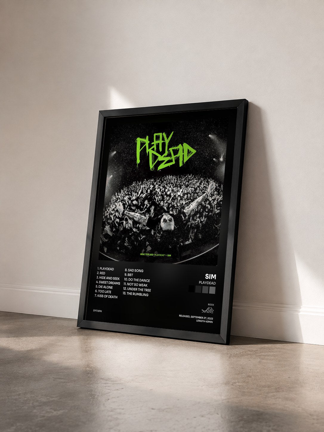 #noir Tableau de l'album PLAYDEAD de SiM vu de trois quarts, cadre noir