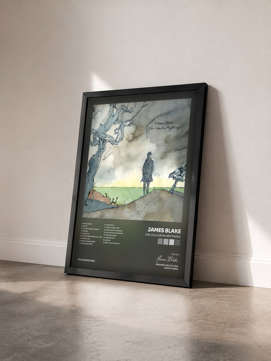 #noir Tableau de l'album The Colour In Anything de James Blake vu de trois quarts, cadre noir