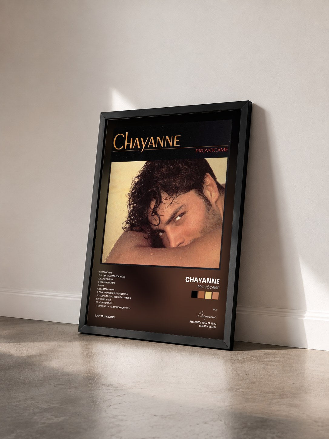 #noir Tableau de l'album Provócame de Chayanne vu de trois quarts, cadre noir
