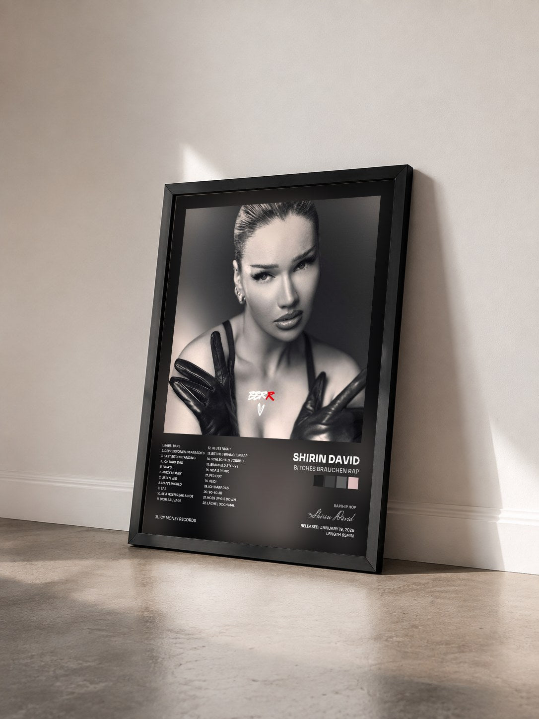 #noir Tableau de l'album Bitches brauchen Rap de Shirin David vu de trois quarts, cadre noir