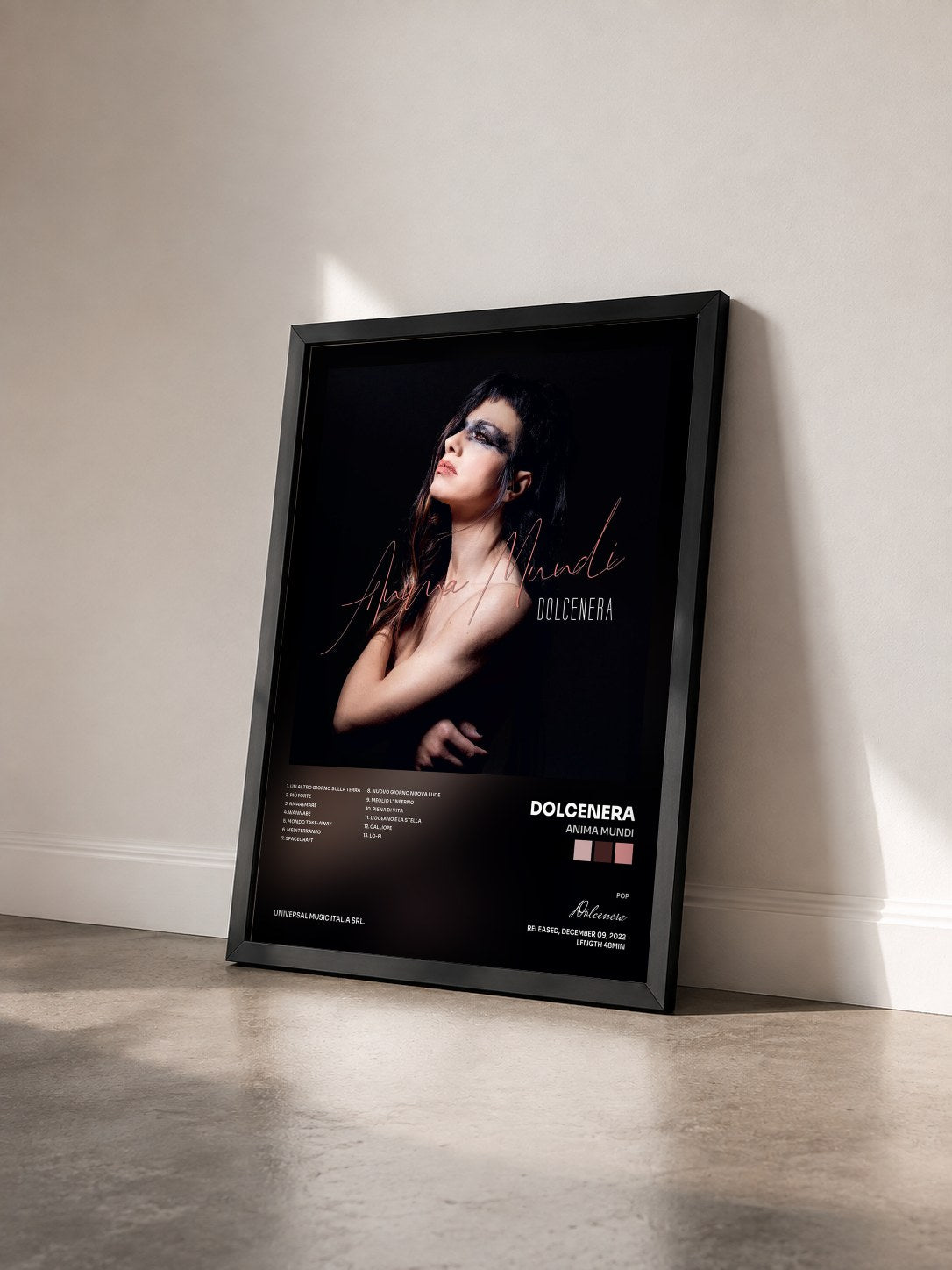 #noir Tableau de l'album Anima Mundi de Dolcenera vu de trois quarts, cadre noir
