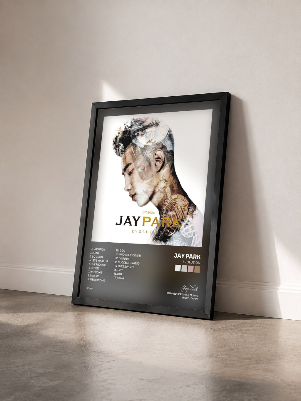 #noir Tableau de l'album EVOLUTION de Jay Park vu de trois quarts, cadre noir