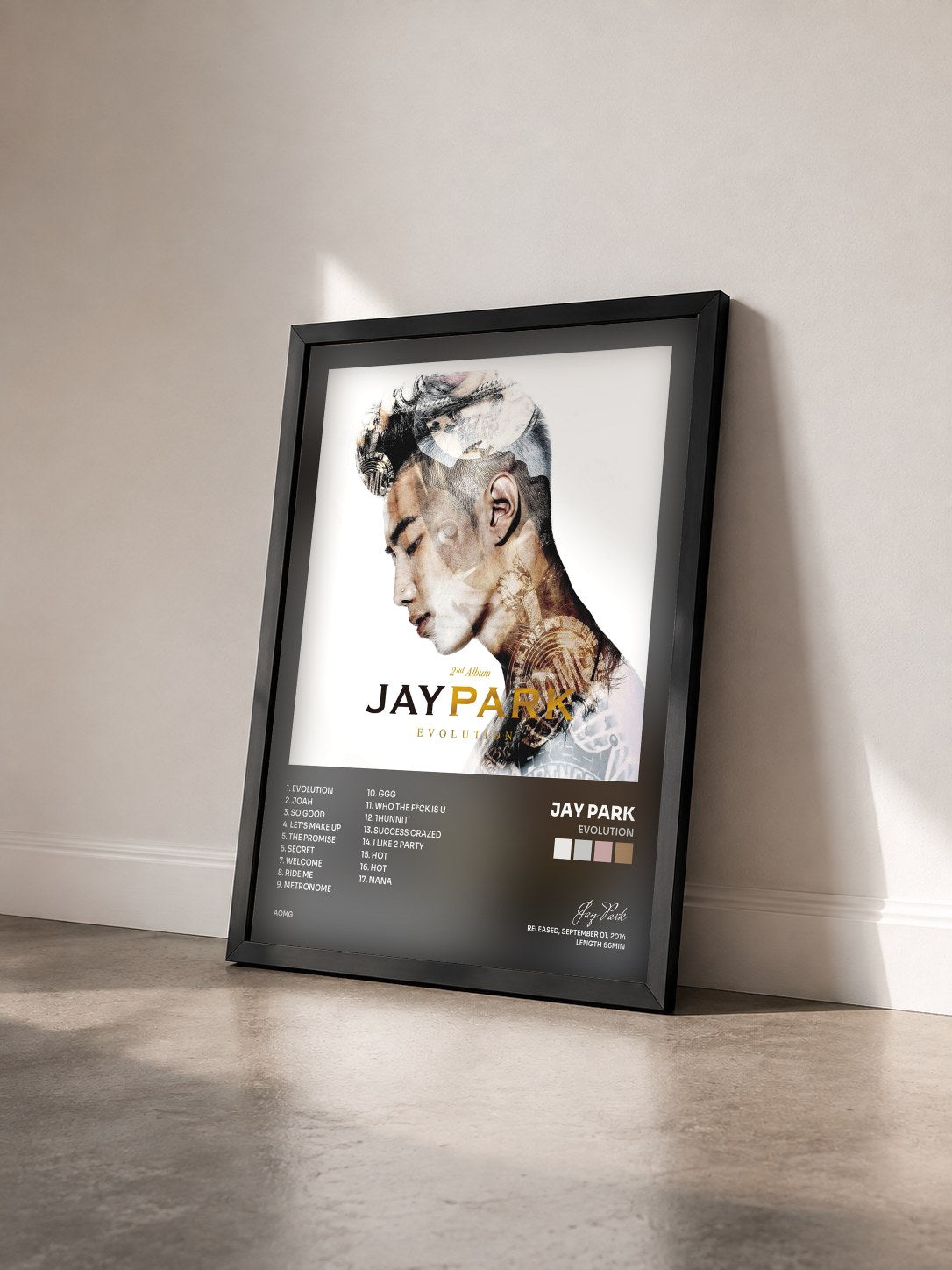 #noir Tableau de l'album EVOLUTION de Jay Park vu de trois quarts, cadre noir