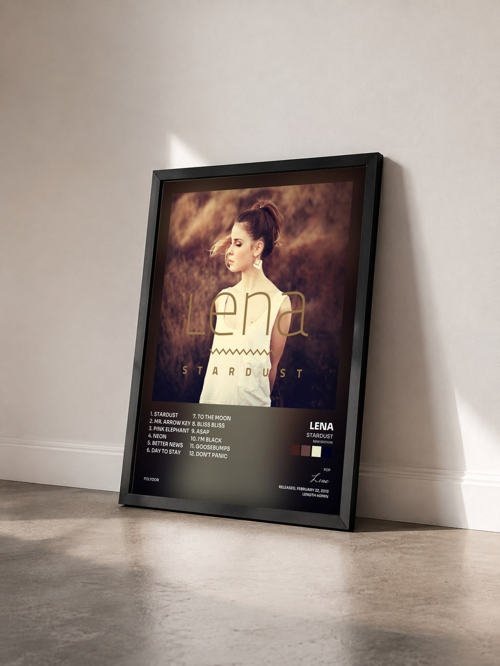 #noir Tableau de l'album Stardust (New Edition) de Lena vu de trois quarts, cadre noir