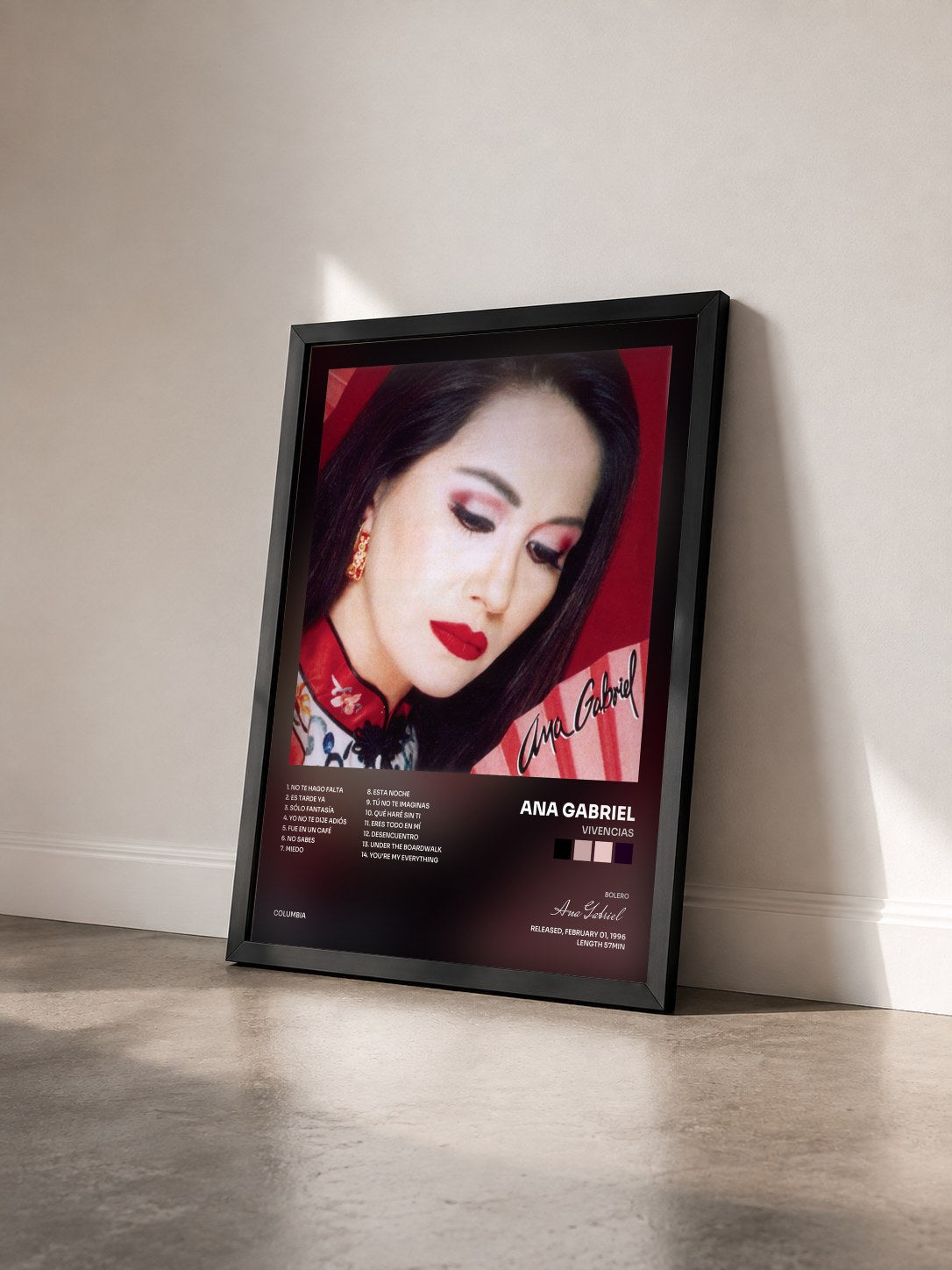 #noir Tableau de l'album Vivencias de Ana Gabriel vu de trois quarts, cadre noir
