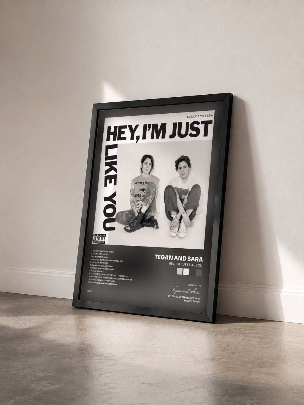 #noir Tableau de l'album Hey, I'm Just like You de Tegan and Sara vu de trois quarts, cadre noir