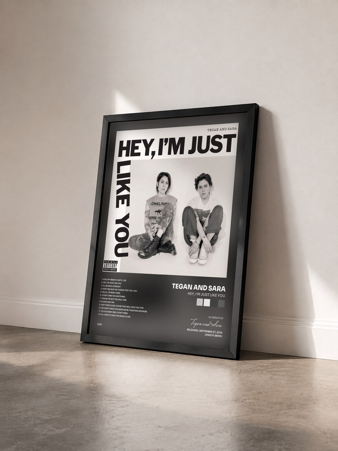 #noir Tableau de l'album Hey, I'm Just like You de Tegan and Sara vu de trois quarts, cadre noir