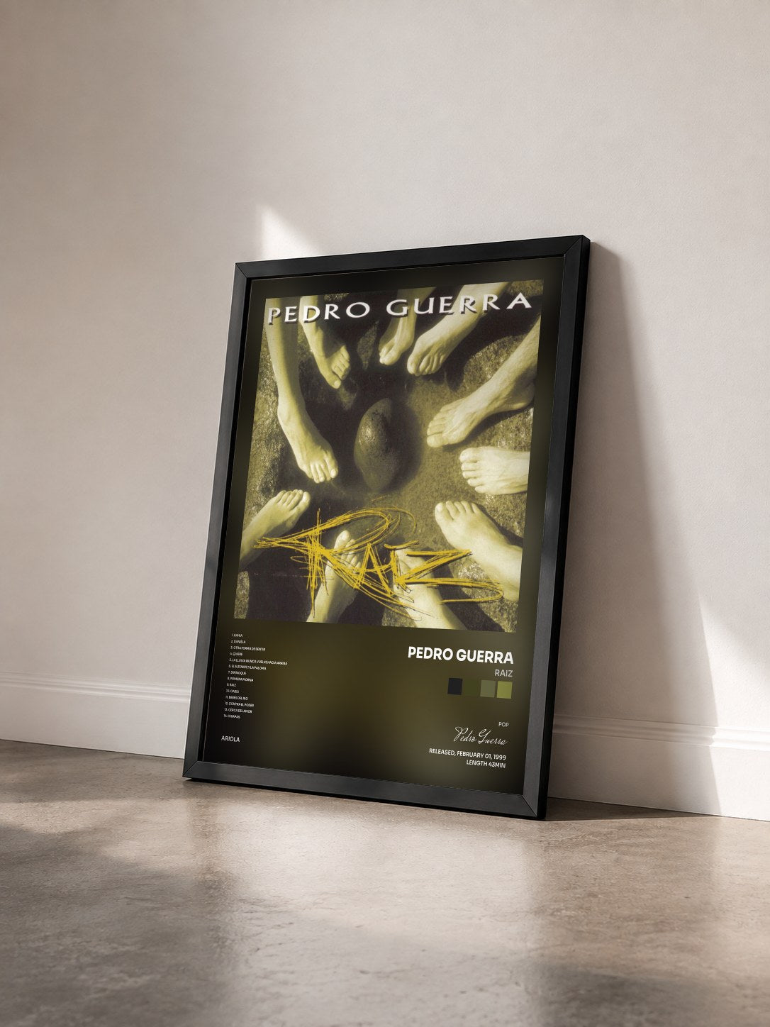 #noir Tableau de l'album Raiz de Pedro Guerra vu de trois quarts, cadre noir