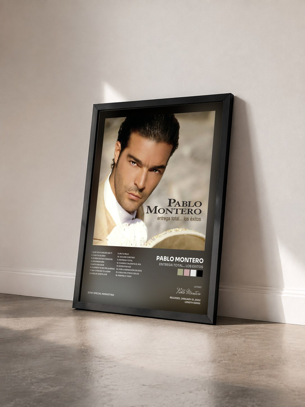 #noir Tableau de l'album Entrega Total... Los Exitos de Pablo Montero vu de trois quarts, cadre noir