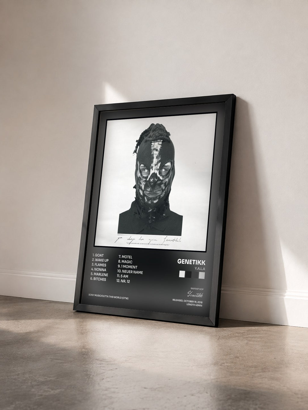 #noir Tableau de l'album Y.A.L.A de Genetikk vu de trois quarts, cadre noir