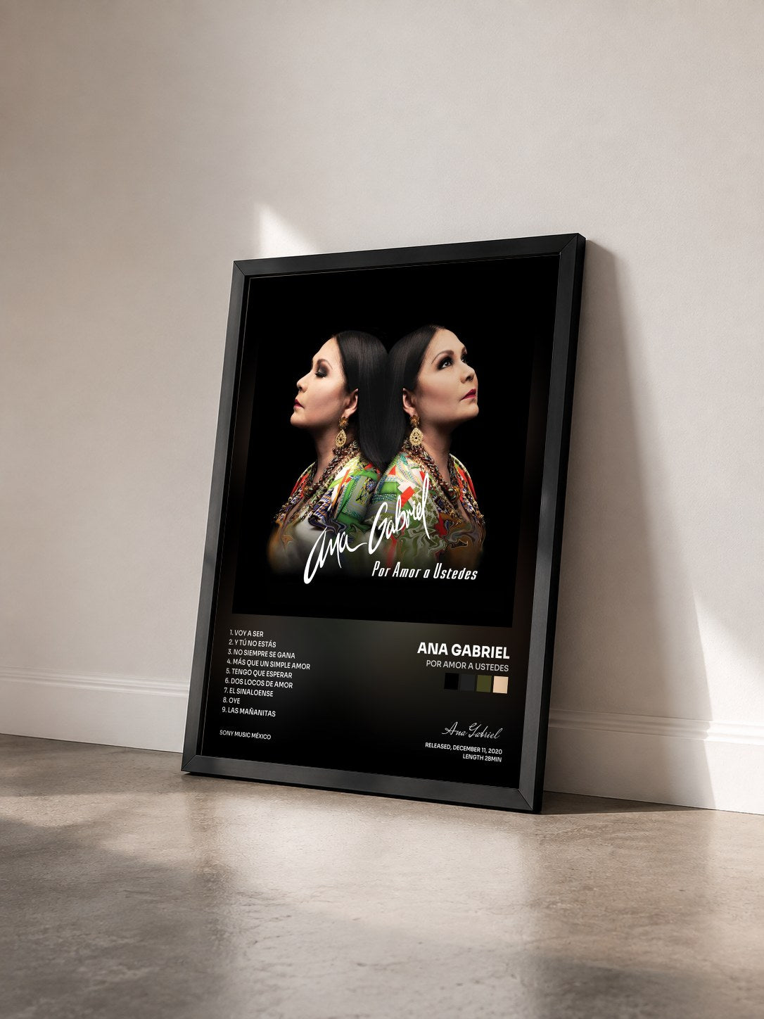 #noir Tableau de l'album Por Amor a Ustedes de Ana Gabriel vu de trois quarts, cadre noir
