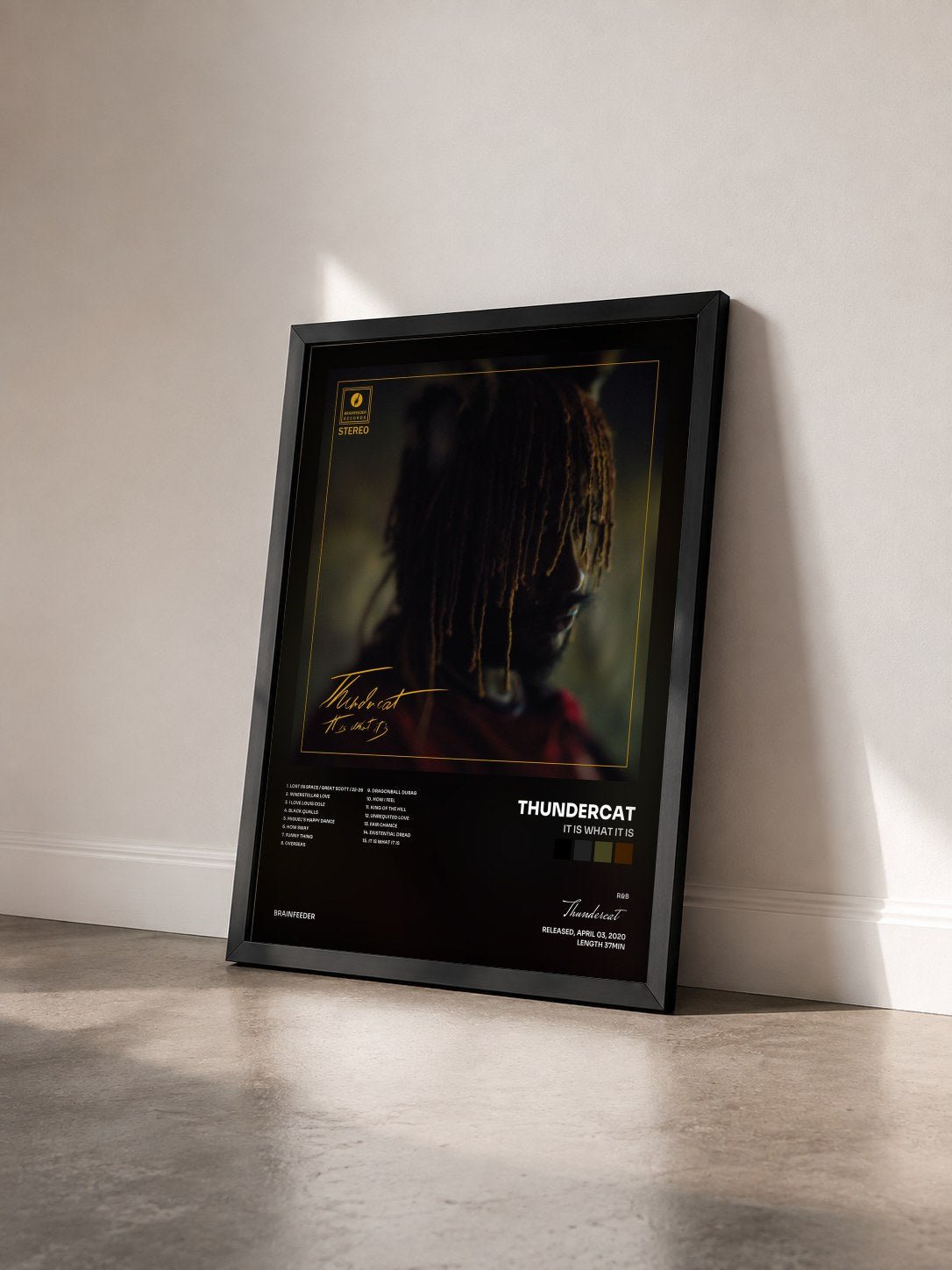 #noir Tableau de l'album It Is What It Is de Thundercat vu de trois quarts, cadre noir