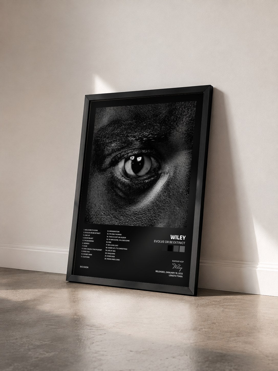 #noir Tableau de l'album Evolve Or Be Extinct de Wiley vu de trois quarts, cadre noir