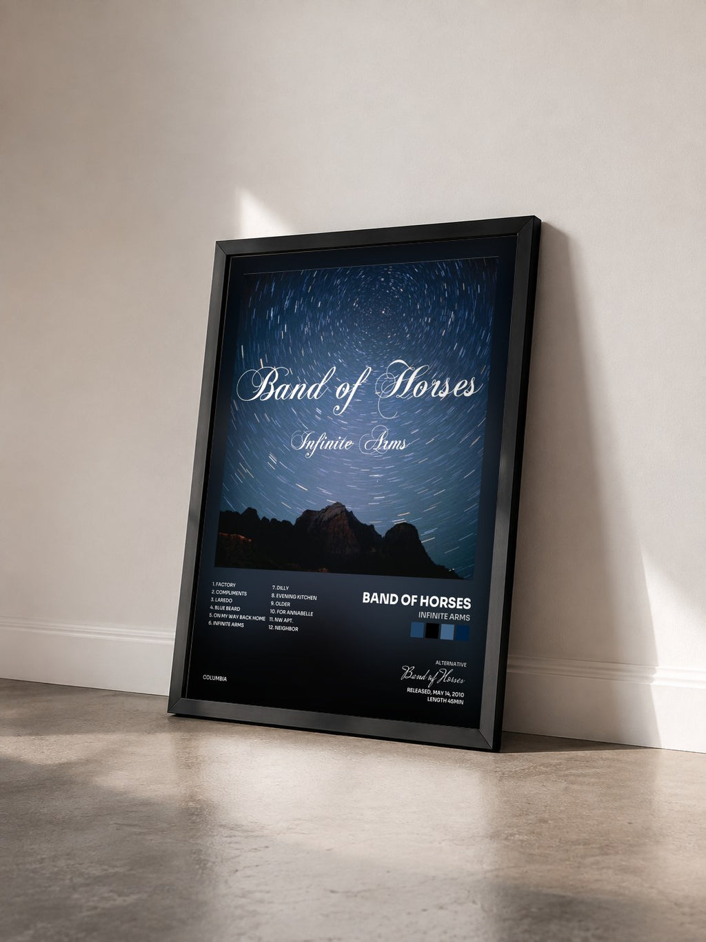 #noir Tableau de l'album Infinite Arms de Band of Horses vu de trois quarts, cadre noir