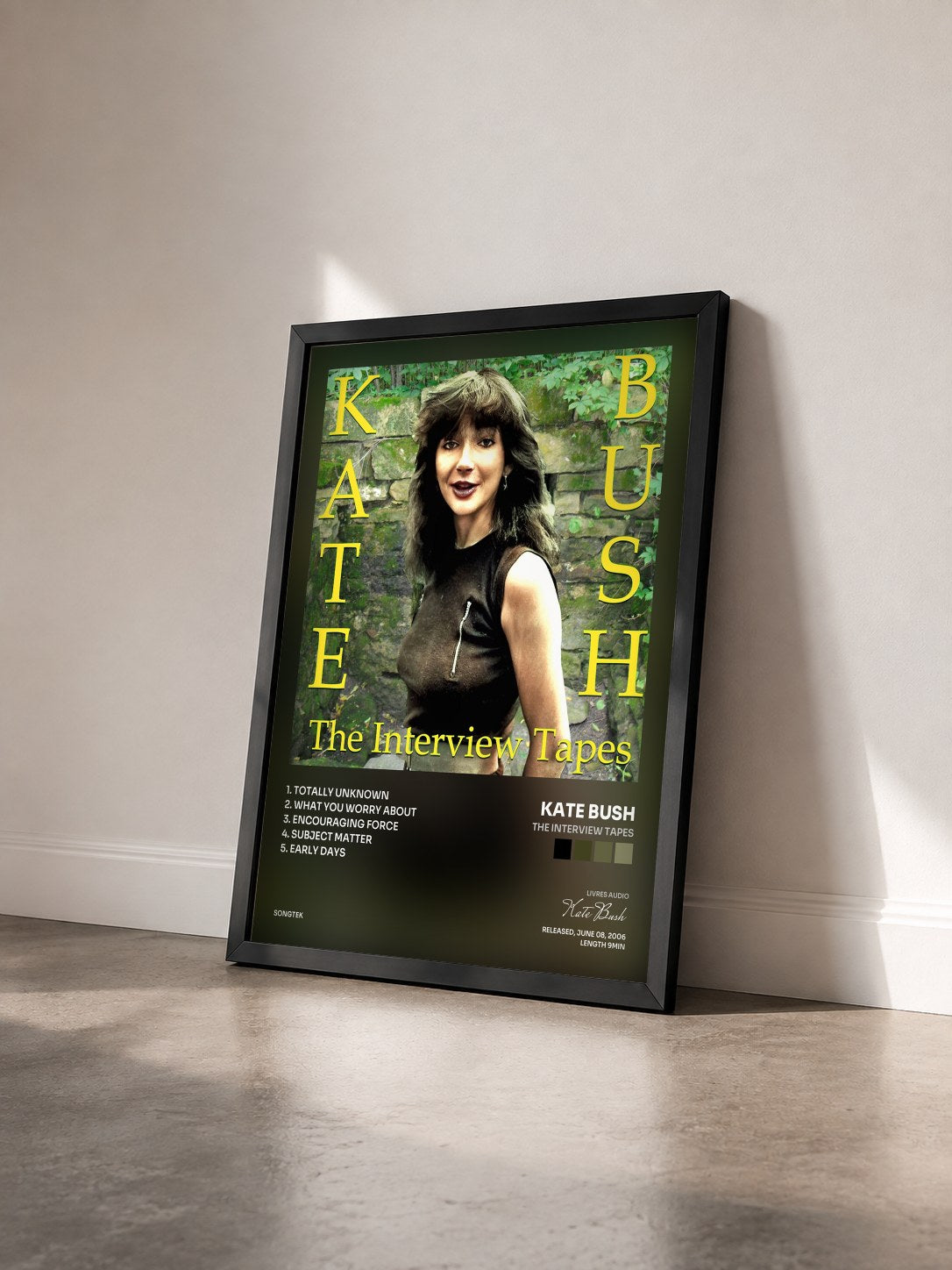 #noir Tableau de l'album The Interview Tapes de Kate Bush vu de trois quarts, cadre noir