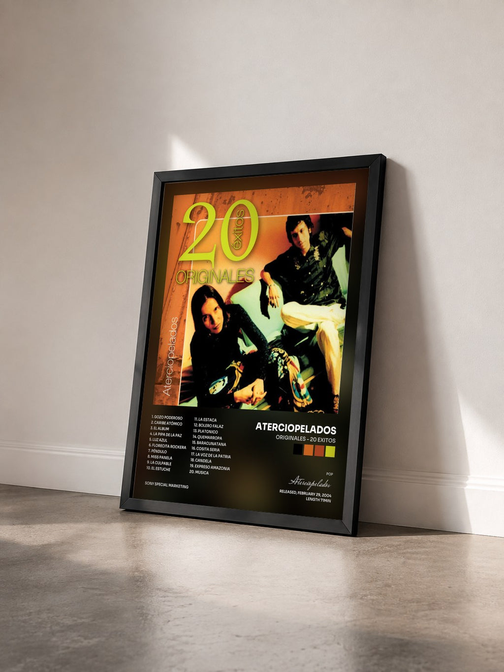 #noir Tableau de l'album Originales - 20 Exitos de Aterciopelados vu de trois quarts, cadre noir