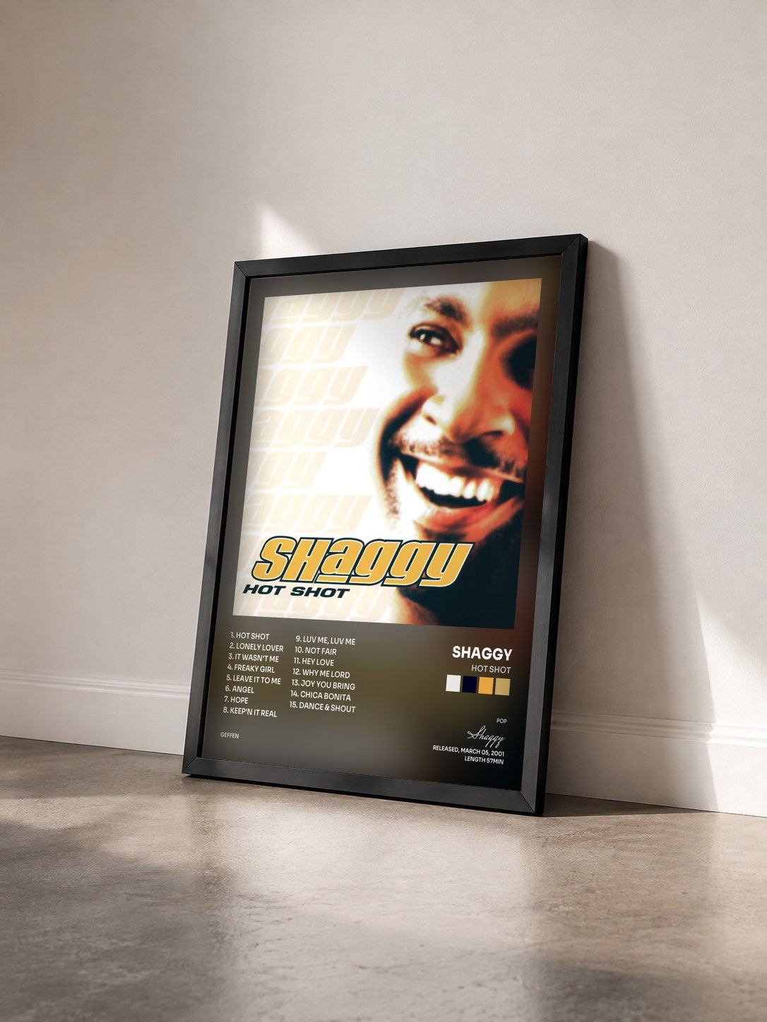 #noir Tableau de l'album Hot Shot de Shaggy vu de trois quarts, cadre noir