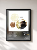 #noir Tableau de l'album Shine Through de Aloe Blacc, cadre noir, imprimé et encadré en France