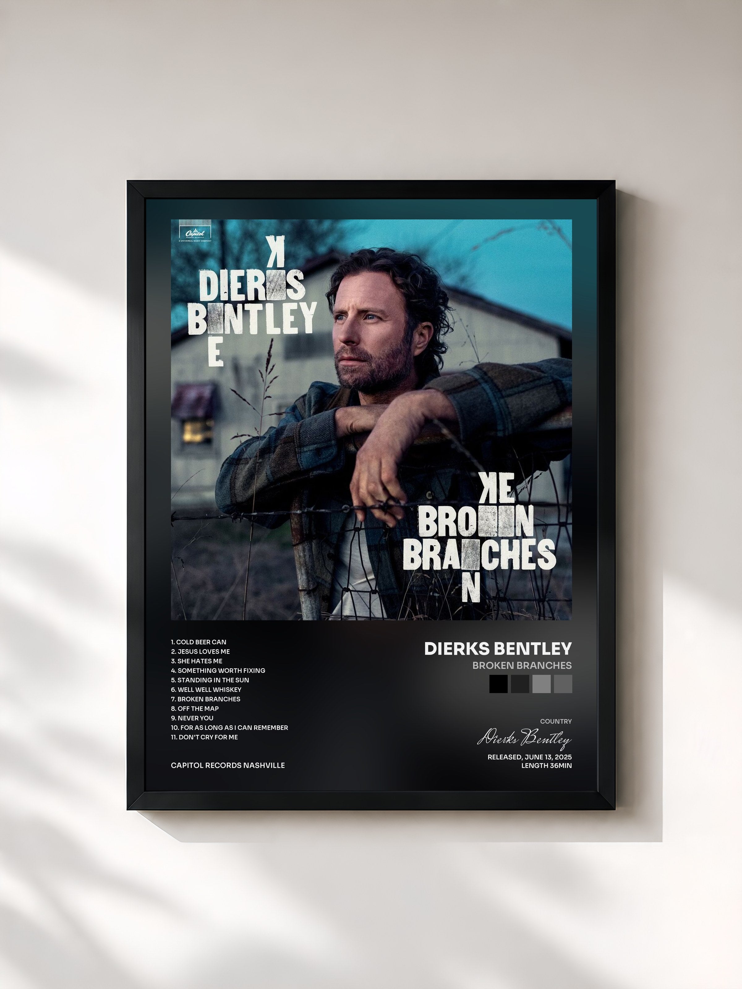 #noir Tableau de l'album Broken Branches de Dierks Bentley, cadre noir, imprimé et encadré en France