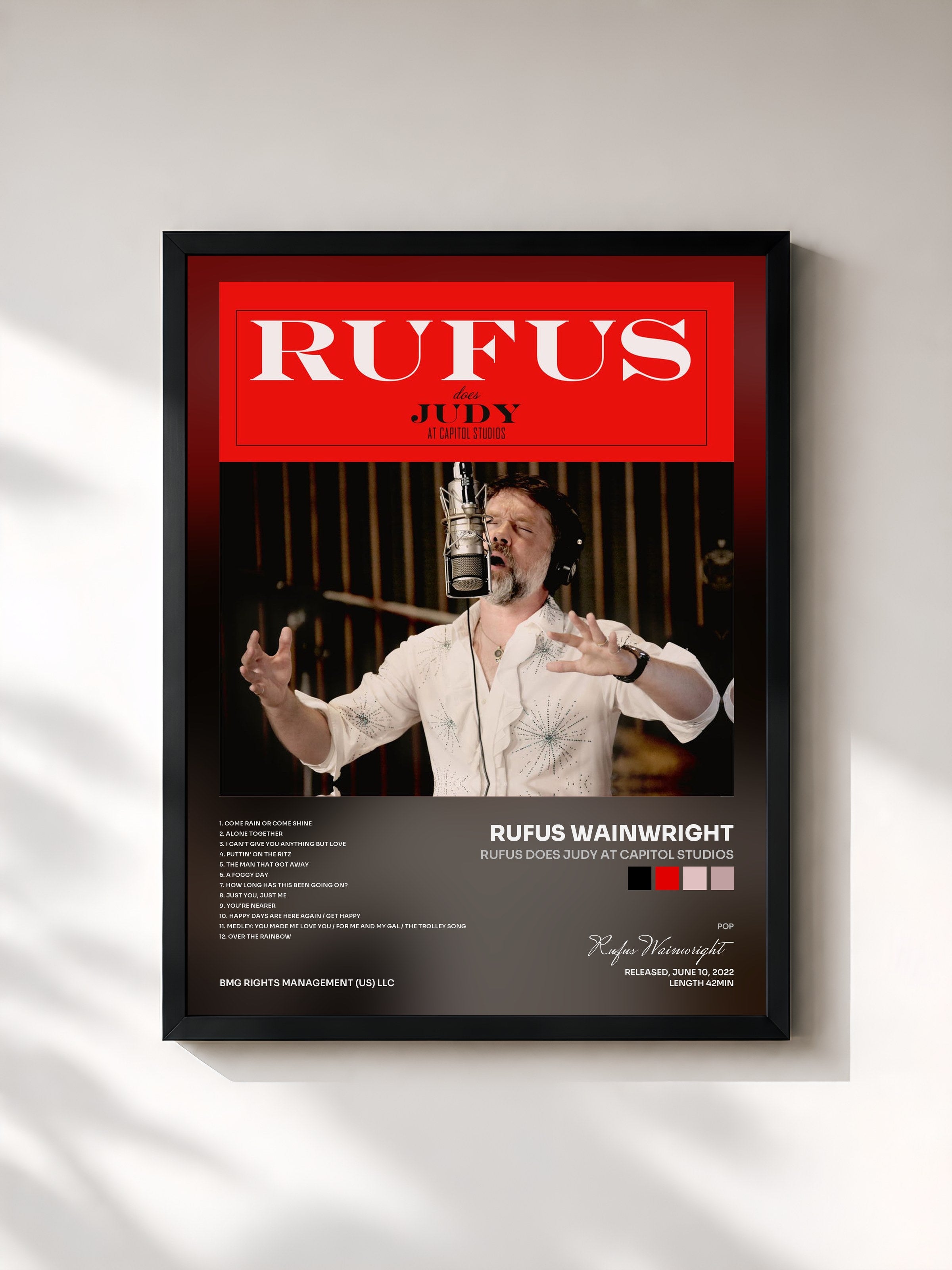 #noir Tableau de l'album Rufus Does Judy At Capitol Studios de Rufus Wainwright, cadre noir, imprimé et encadré en France