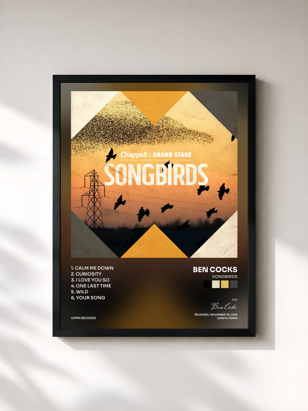 #noir Tableau de l'album Songbirds de Ben Cocks, cadre noir, imprimé et encadré en France