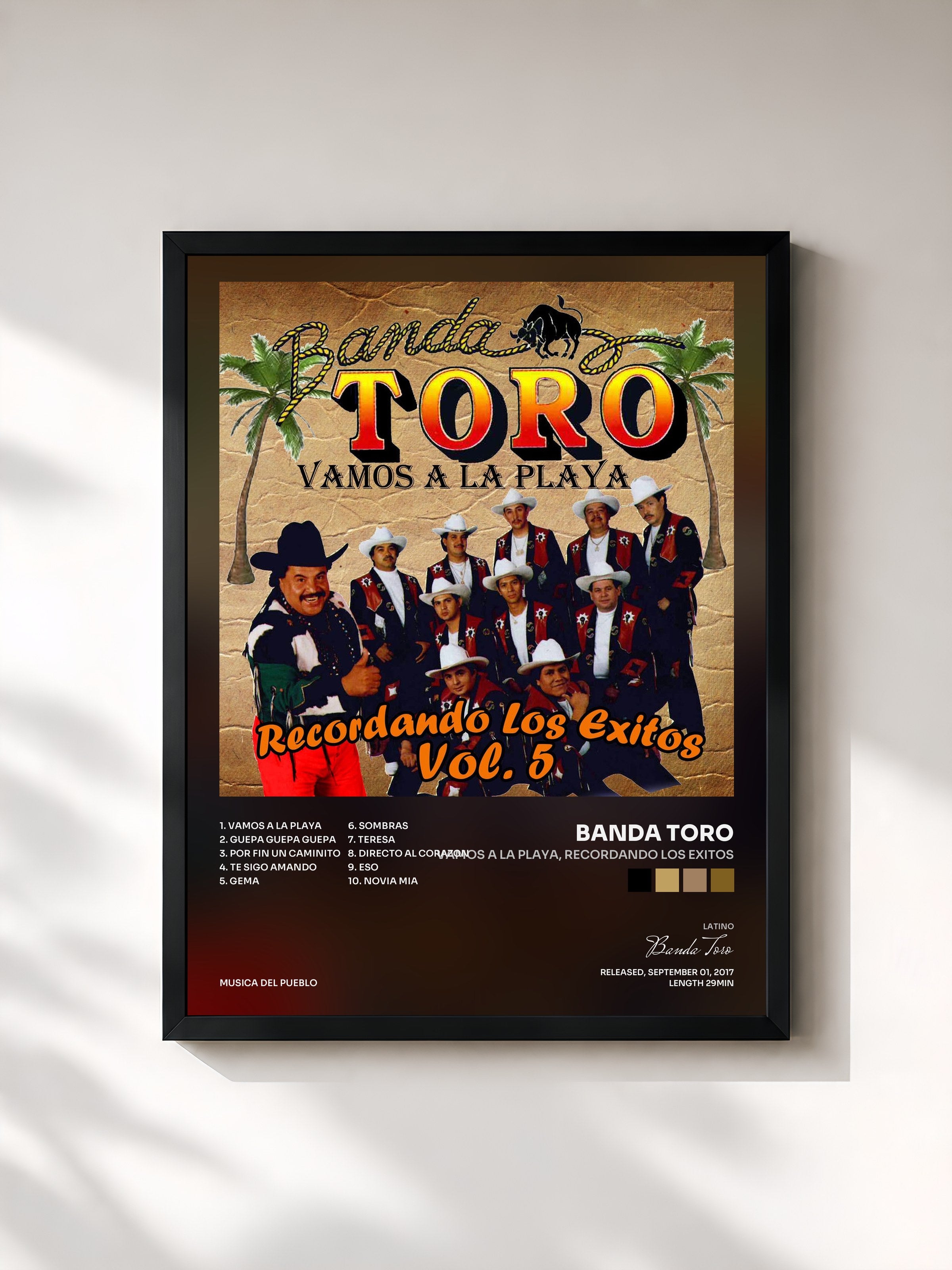 #noir Tableau de l'album Vamos a la Playa, Recordando los Exitos de Banda Toro, cadre noir, imprimé et encadré en France