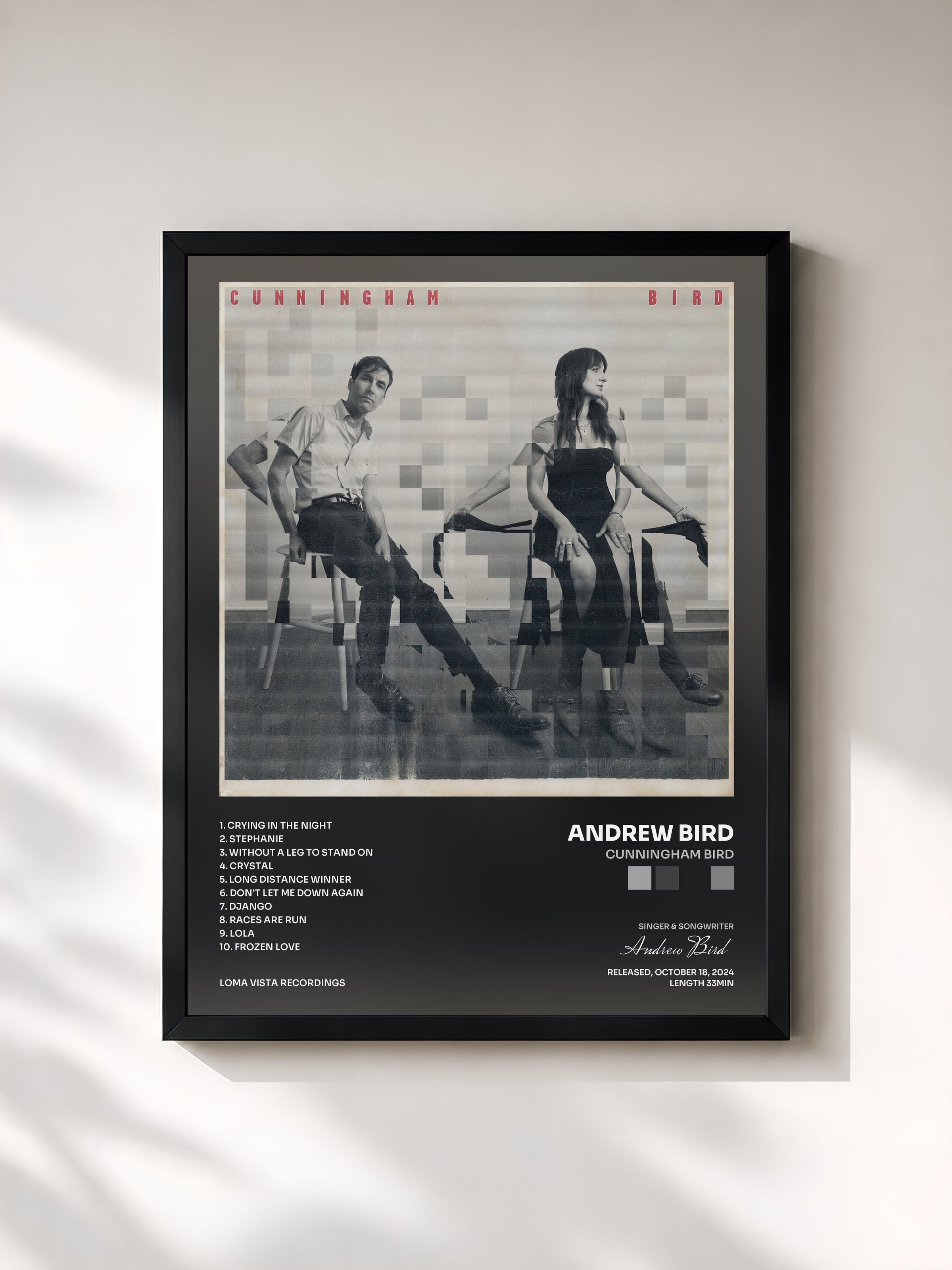 #noir Tableau de l'album Cunningham Bird de Andrew Bird, cadre noir, imprimé et encadré en France