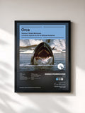 #noir Tableau de l'album Orca (Bande originale du film) de Ennio Morricone, cadre noir, imprimé et encadré en France