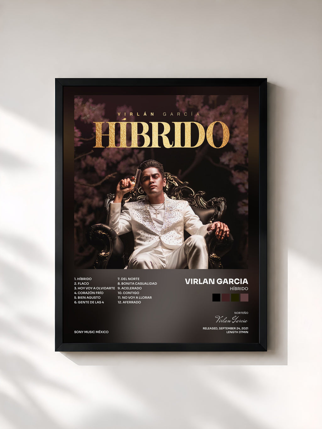 #noir Tableau de l'album Híbrido de Virlan Garcia, cadre noir, imprimé et encadré en France