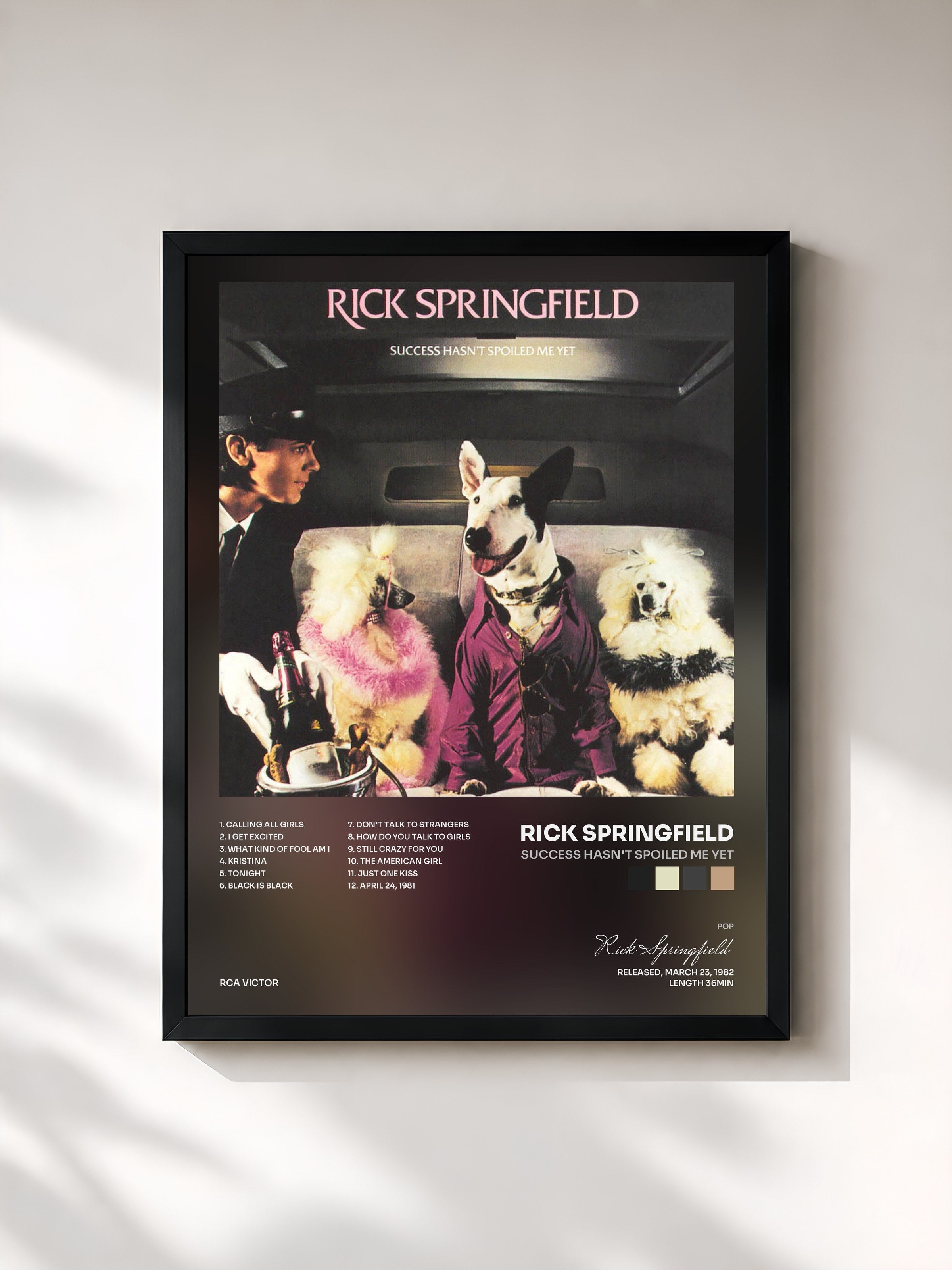 #noir Tableau de l'album Success Hasn't Spoiled Me Yet de Rick Springfield, cadre noir, imprimé et encadré en France