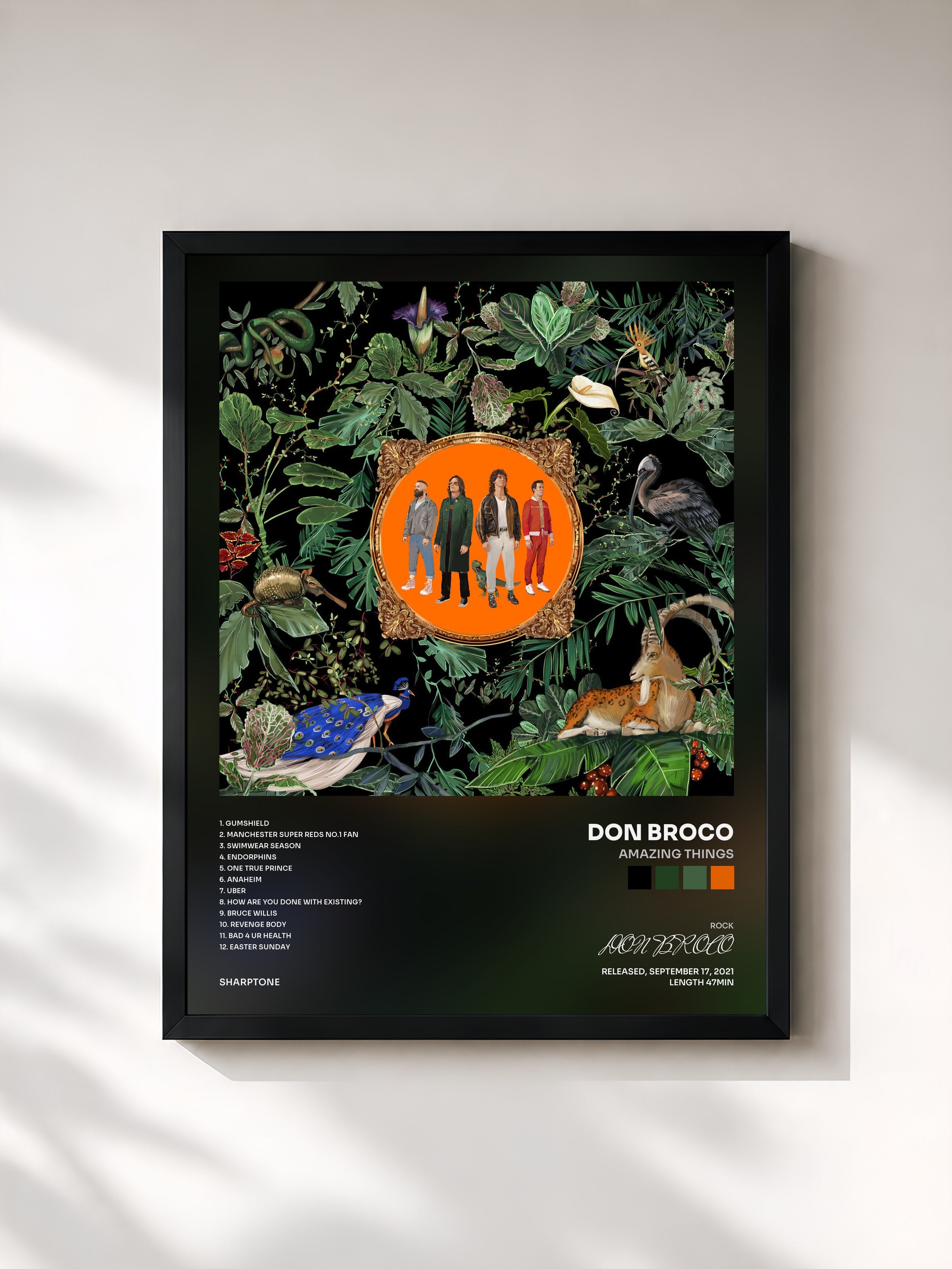 #noir Tableau de l'album Amazing Things de DON BROCO, cadre noir, imprimé et encadré en France