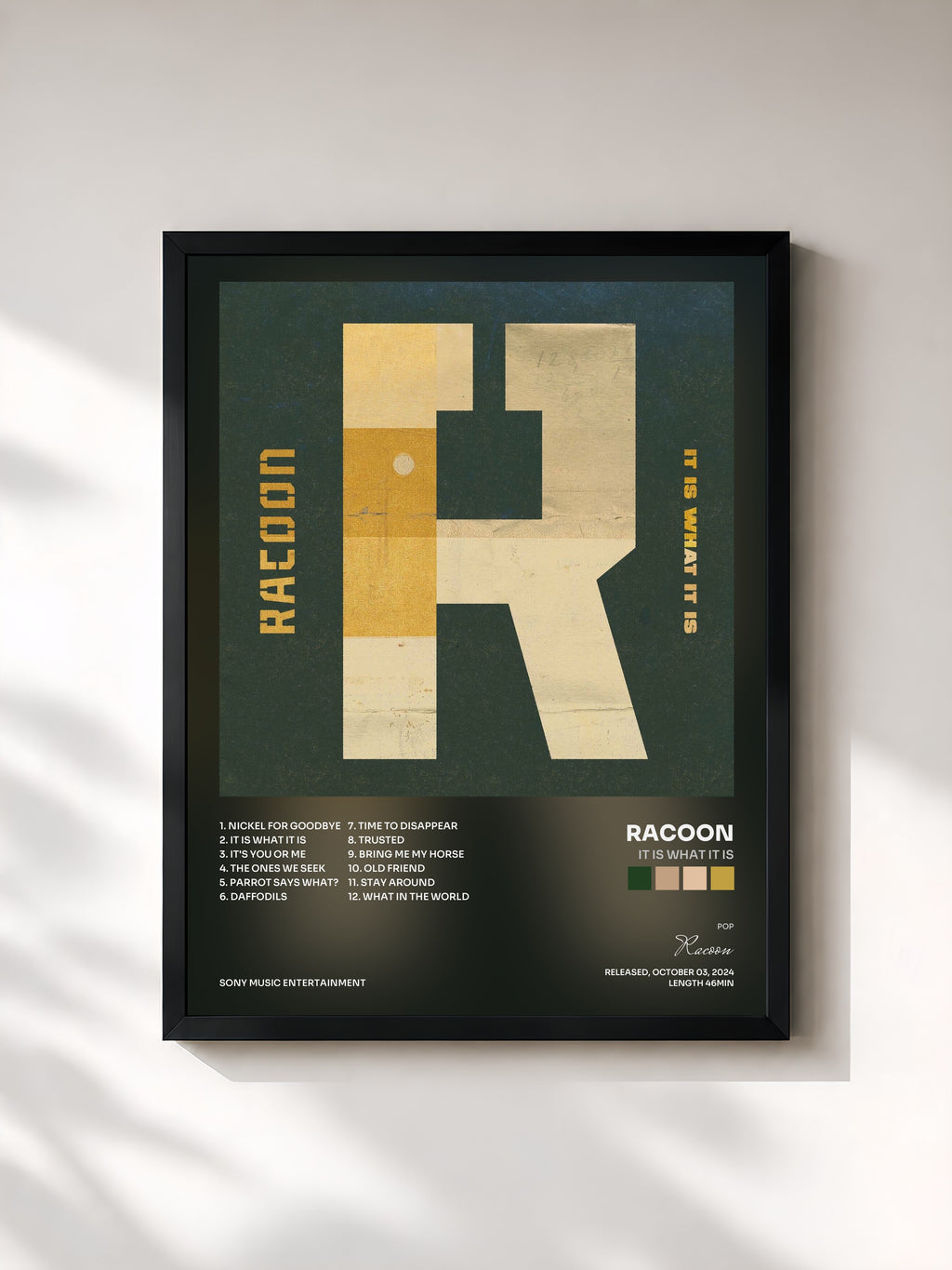 #noir Tableau de l'album It Is What It Is de Racoon, cadre noir, imprimé et encadré en France