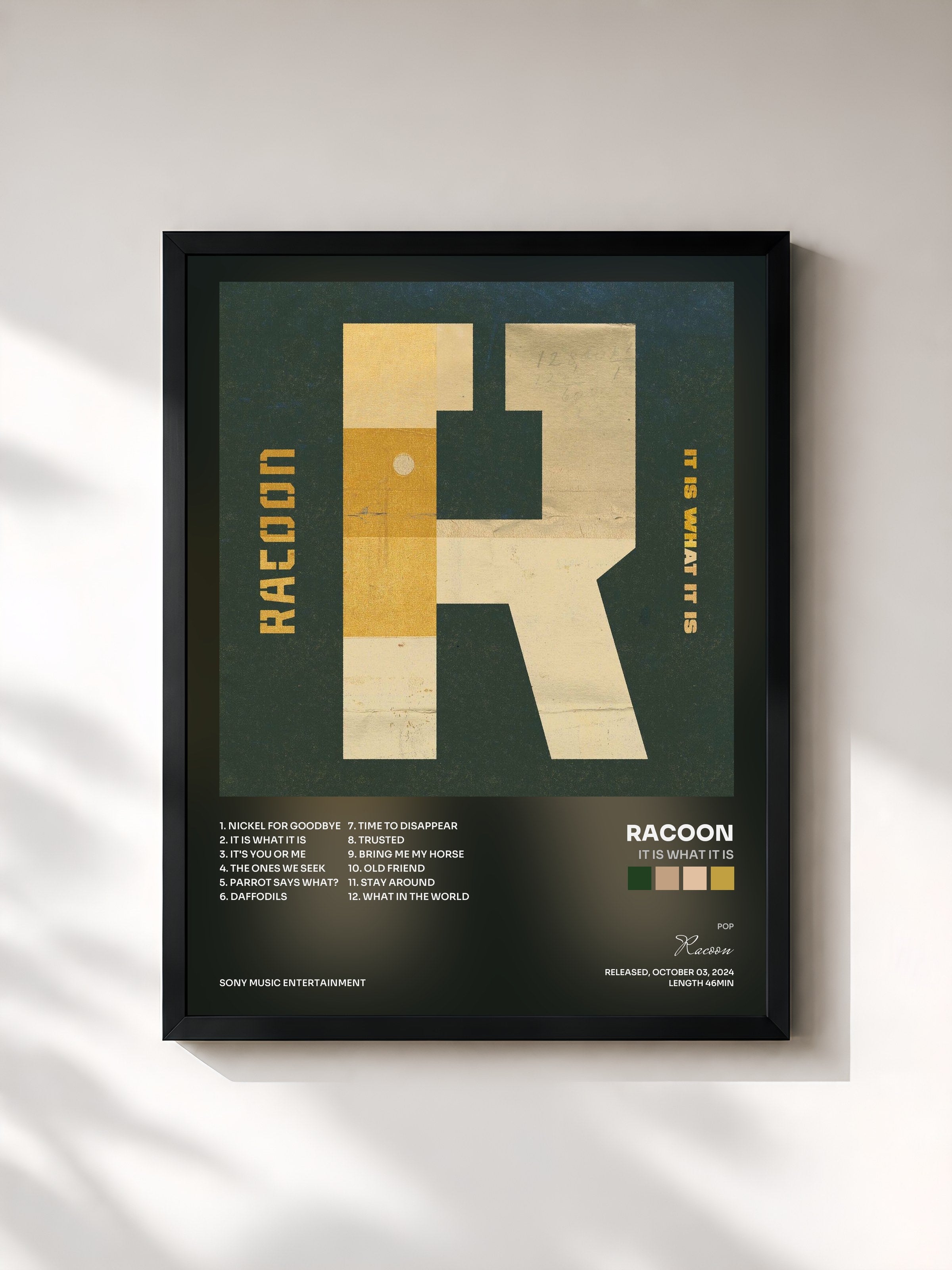 #noir Tableau de l'album It Is What It Is de Racoon, cadre noir, imprimé et encadré en France
