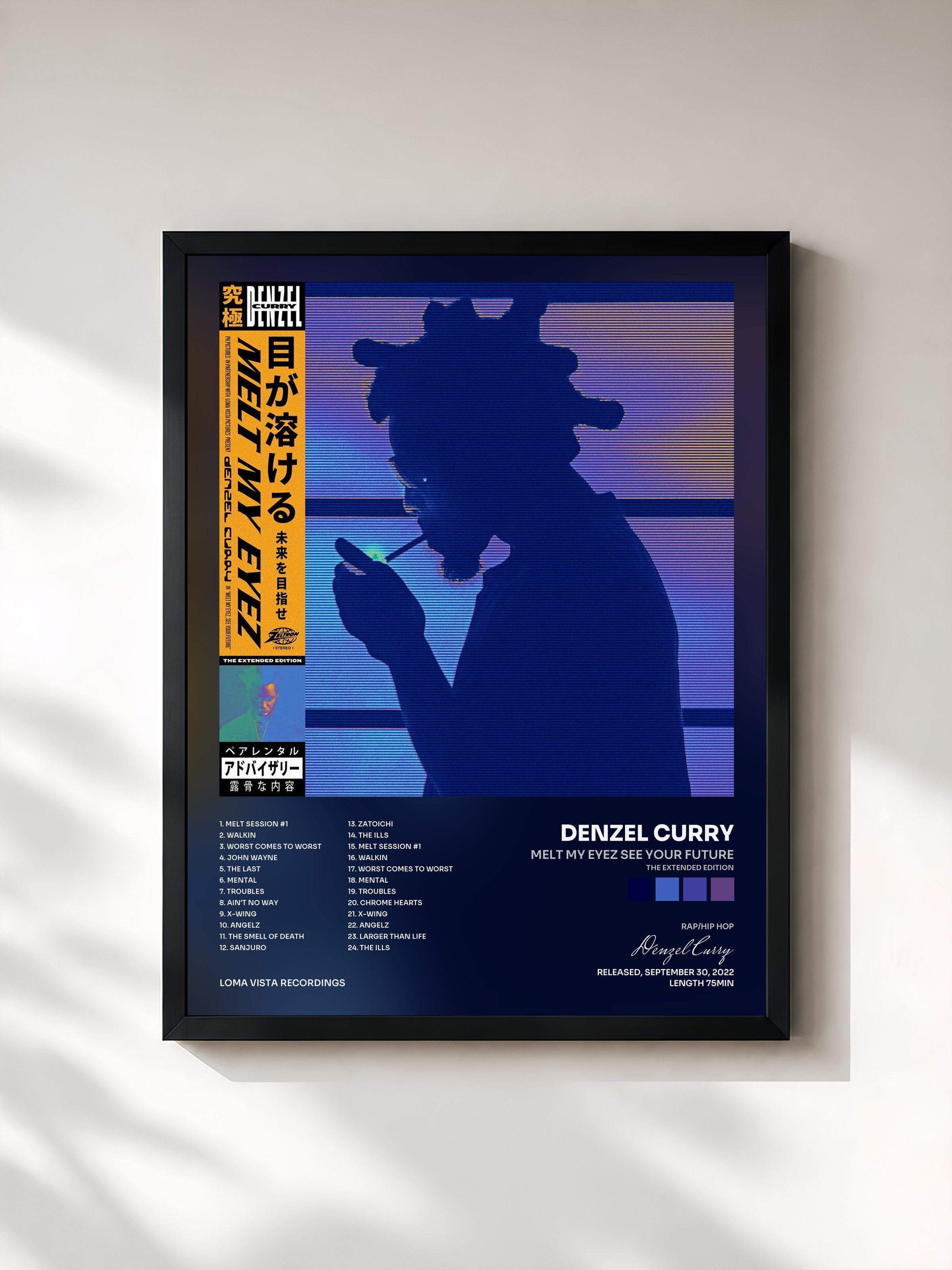#noir Tableau de l'album Melt My Eyez See Your Future (The Extended Edition) de Denzel Curry, cadre noir, imprimé et encadré en France