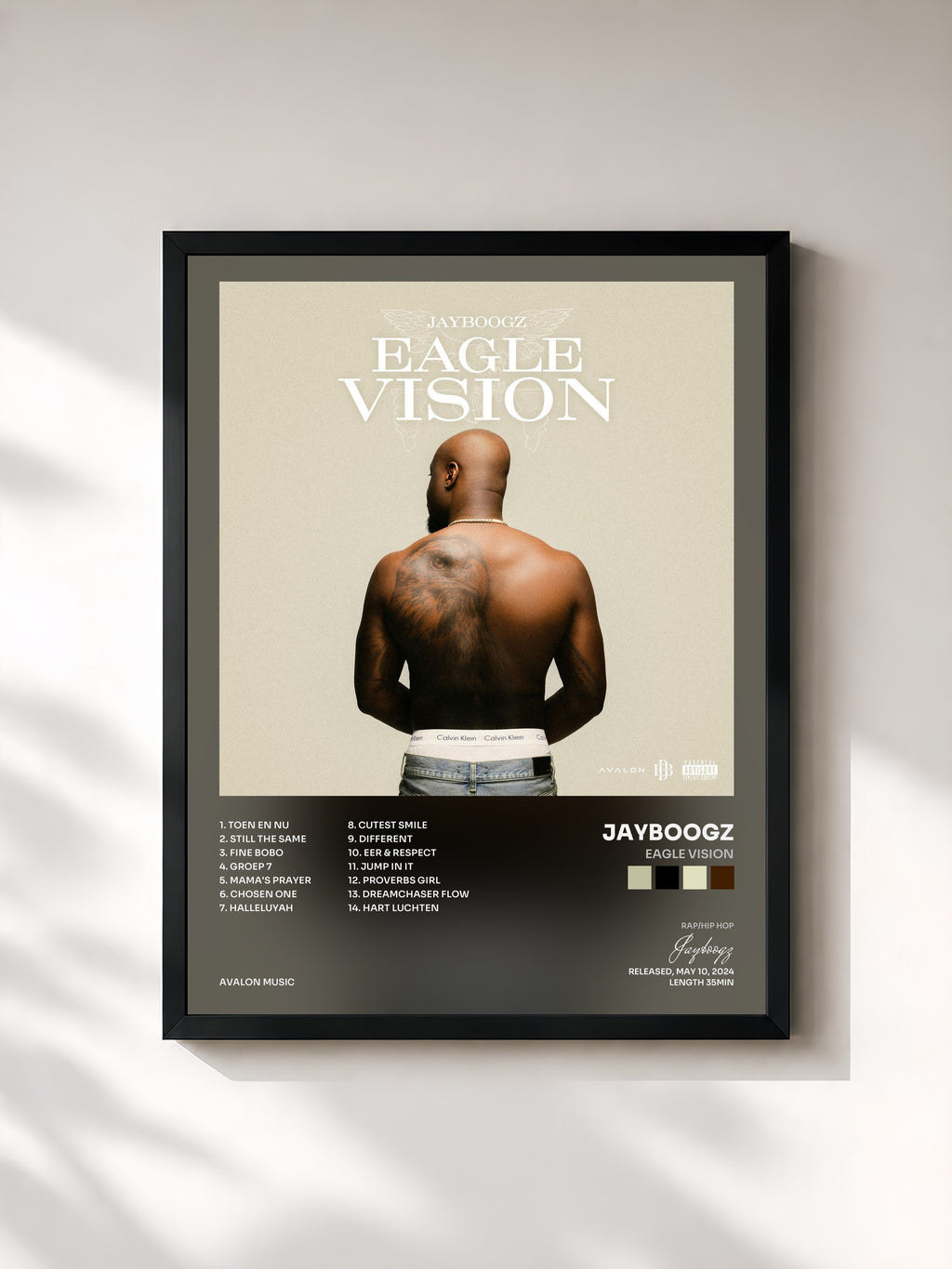 #noir Tableau de l'album Eagle Vision de Jayboogz, cadre noir, imprimé et encadré en France