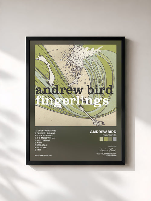 Andrew Bird · Fingerlings — Affiche encadrée